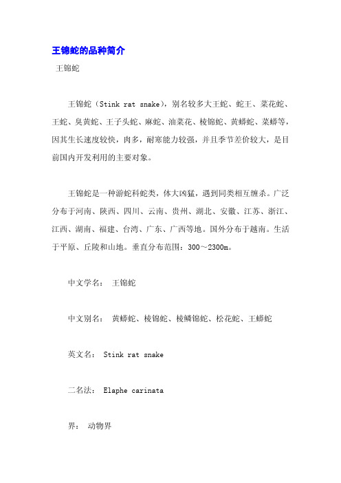 王锦蛇的品种简介