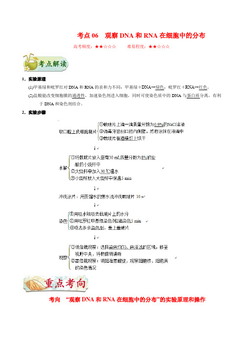 高中生物考点06  观察DNA和RNA在细胞中的分布