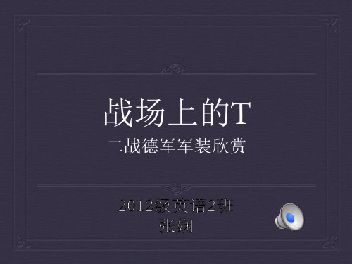 二战德国军装欣赏PPT课件
