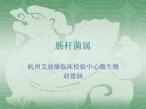 肠杆菌属