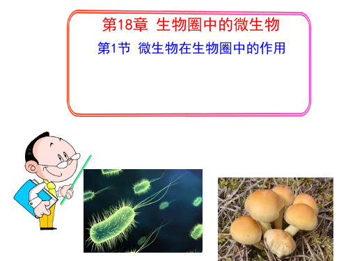 北师大版初中生物八年级上册 5.18.1 微生物在生物圈中的作用 课件(共42张PPT)