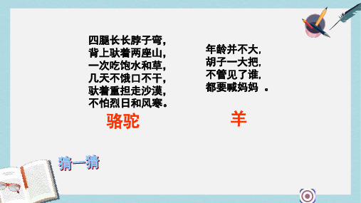 部编本人教版语文二年级上册选读6《骆驼和羊》ppt课件1