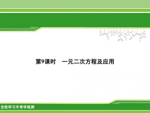2014中考数学名师课件：第9课时 一元二次方程及应用(考点管理+归类探究+易错警示+课时作业,