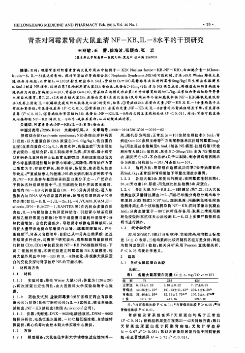 肾茶对阿霉素肾病大鼠血清NF—KB、IL-8水平的干预研究