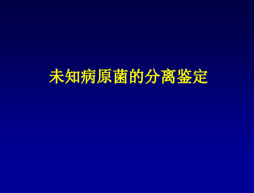 未知病原菌的分离鉴定