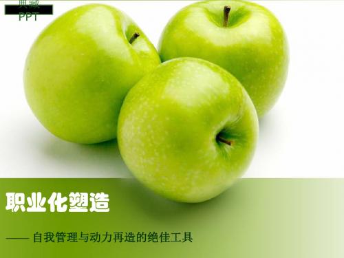 职业化塑造1PPT课件