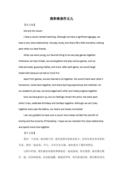 我和表弟作文儿