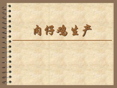 肉仔鸡生产