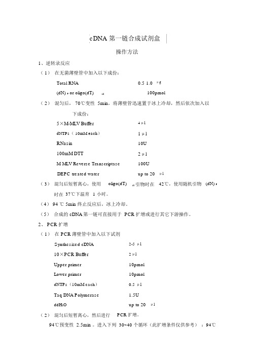 cDNA第一链合成试剂盒
