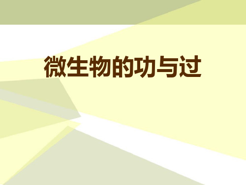 《微生物的功与过》PPT下载