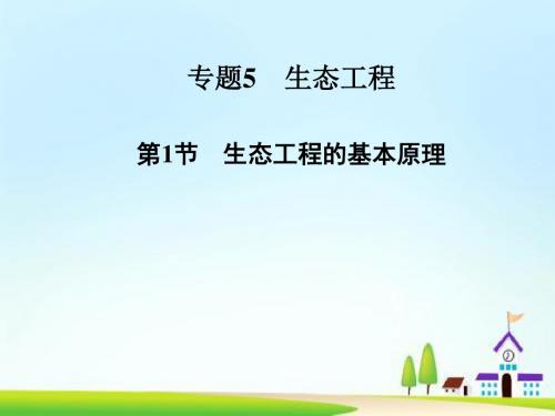 高中生物 专题五 第1节 生态工程的基本原理课件 新人教选修3