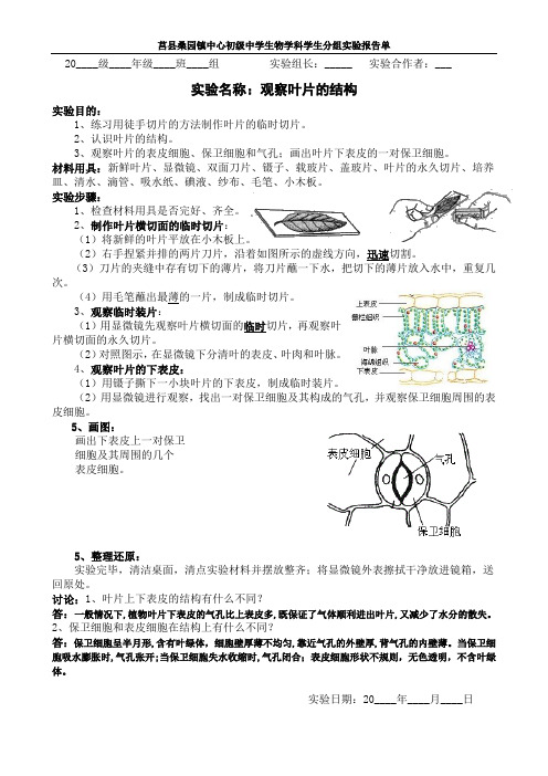 (完整版)参考答案：实验报告单：观察叶片的结构