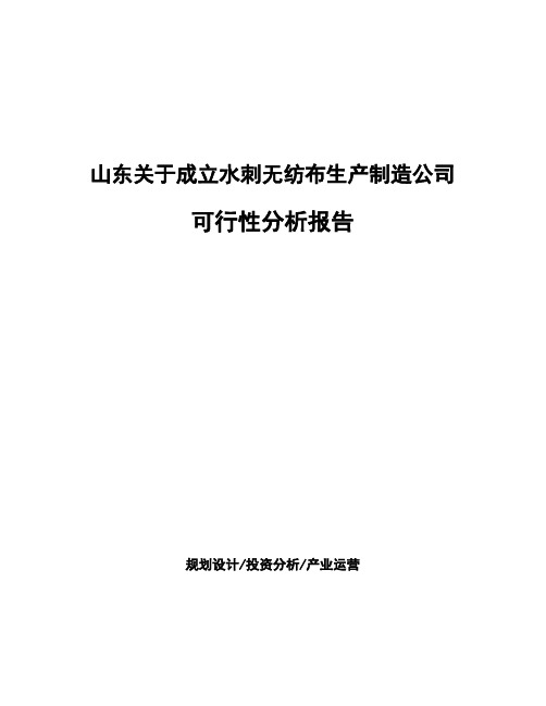 山东关于成立水刺无纺布生产制造公司可行性分析报告