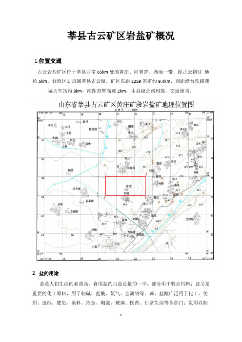 莘县古云矿区黄庄矿段岩盐矿概况
