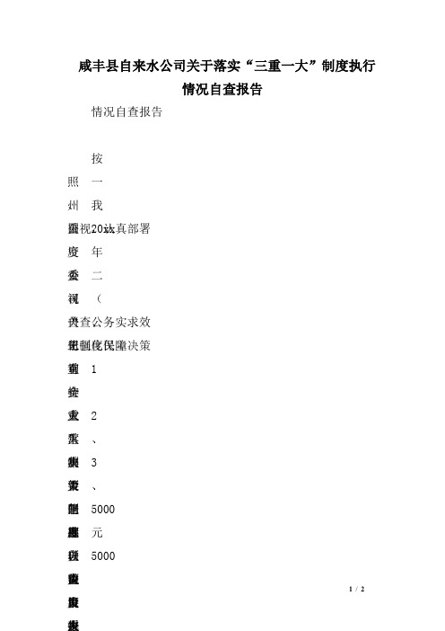 县自来水公司关于落实“三重一大”制度执行情况自查报告