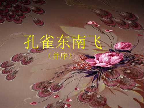 孔雀东南飞图片课件