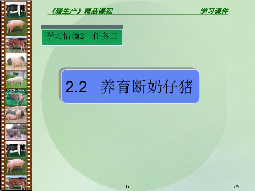 《养育断奶仔猪》PPT课件