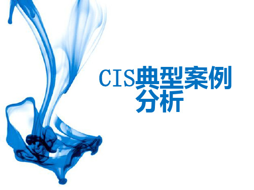 ci分析