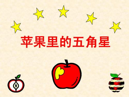 苹果里的五角星第二课时