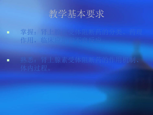 最新a11肾上腺素受体阻断药6-PPT文档