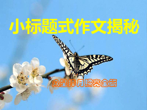 学写小标题式作文