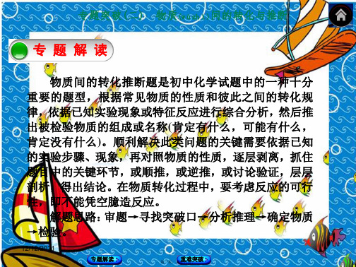 中考化学 专题突破2 物质间的转化与推断课件