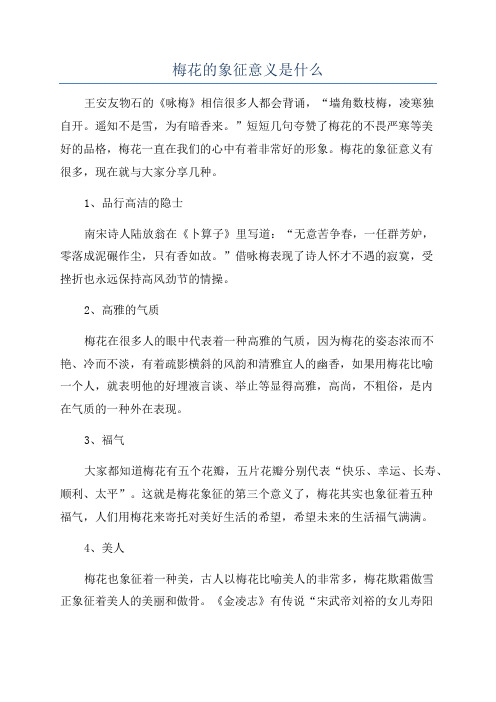 梅花的象征意义是什么