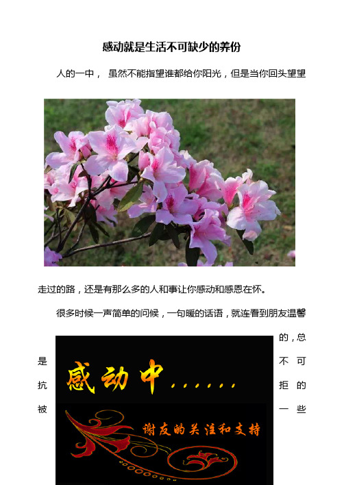 感动就是生活不可缺少的养份