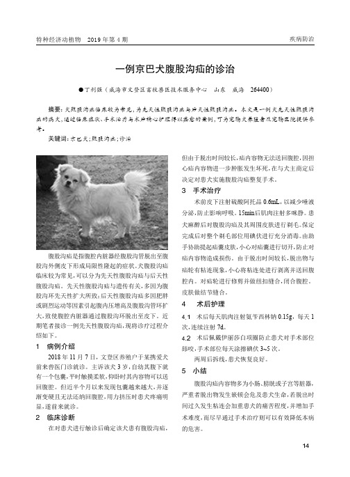 一例京巴犬腹股沟疝的诊治