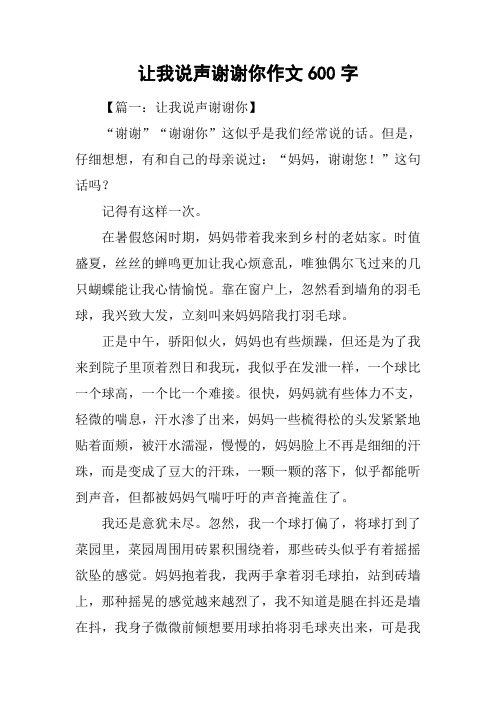 让我说声谢谢你作文600字