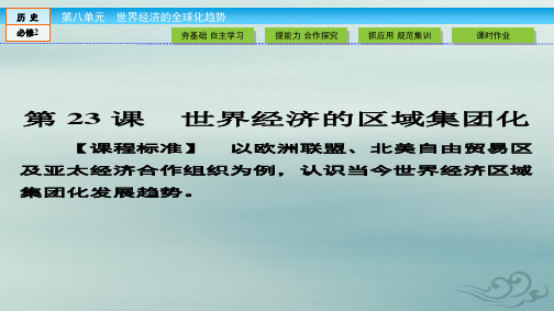 人教版高中历史必修二第23课 世界经济的区域集团化课件(42张)