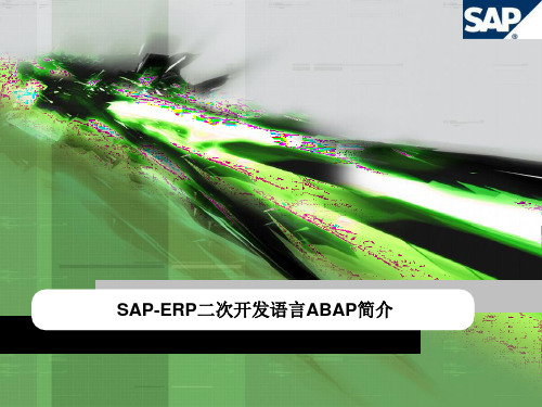 SAP-ERP二次开发语言ABAP简介