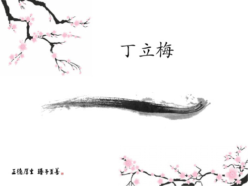 丁立梅简介