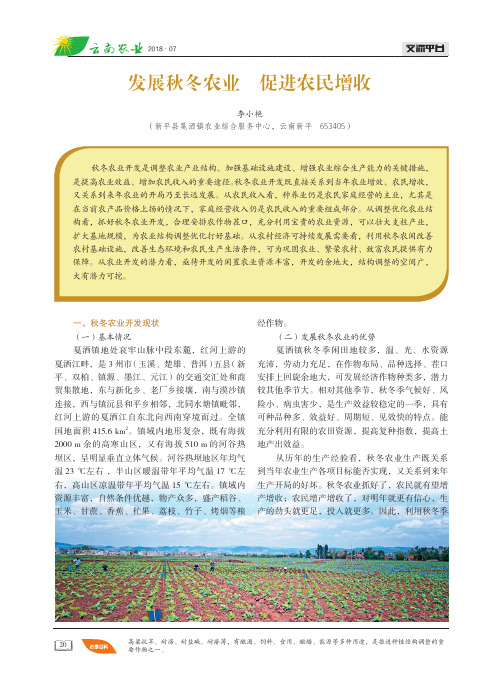 发展秋冬农业 促进农民增收