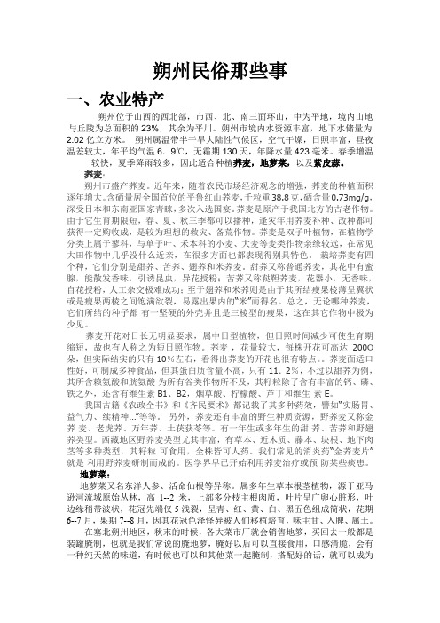 朔州民俗
