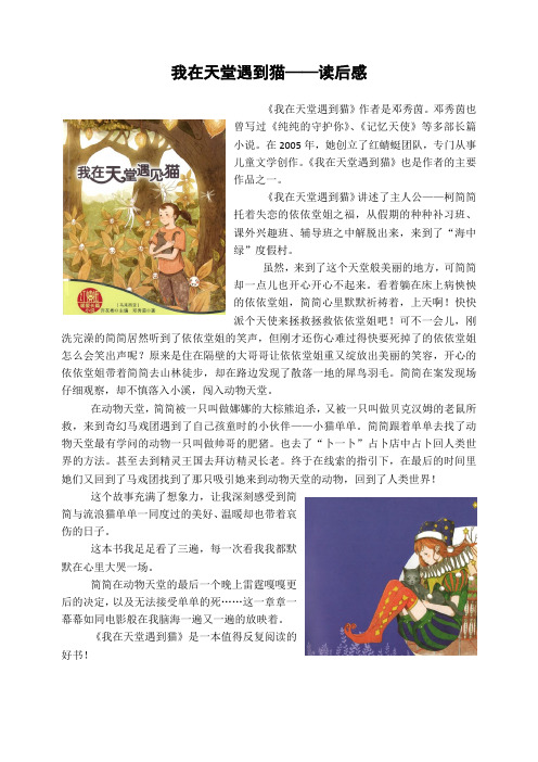 《我在天堂遇到猫》读后感