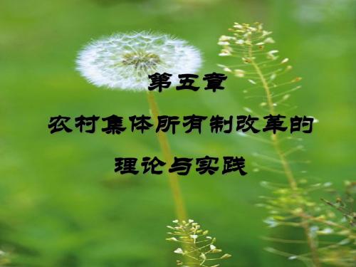 第五章    农村经济体制改革