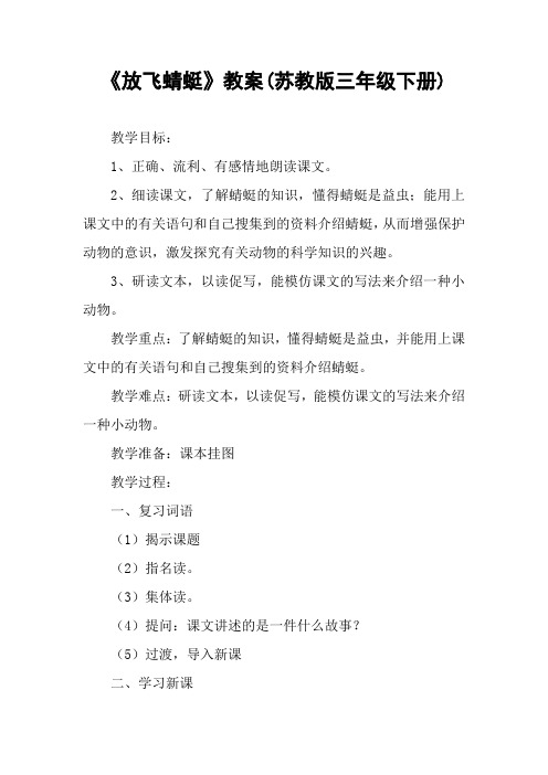 《放飞蜻蜓》教案(苏教版三年级下册)