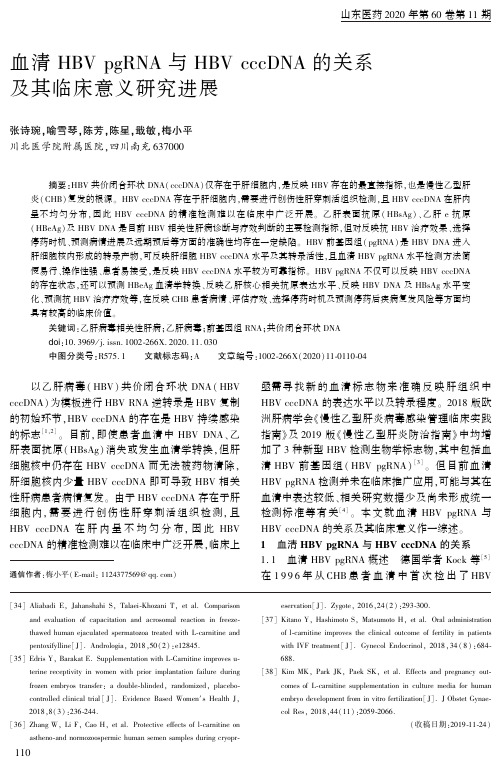血清hbv pgrna与hbv cccdna的关系及其临床意义研究进展