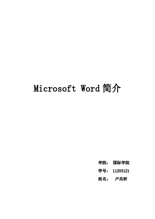 Microsoft Word 简介,大学计算机基础的论文