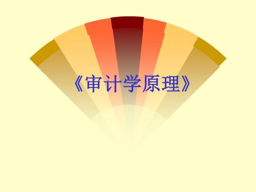 经管类财务管理审计学原理ppt课件