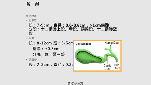 胆道疾病讲课PPT课件