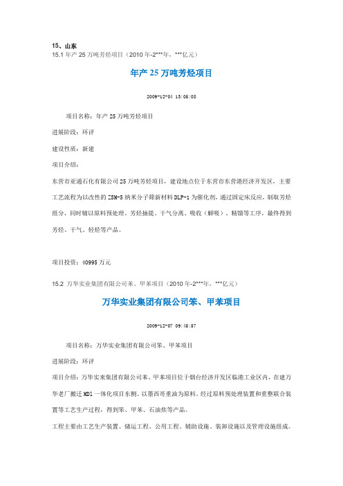 2010年中国化工项目重大新开工项目