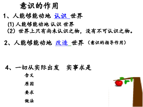 61人的认识从何而来 ppt课件