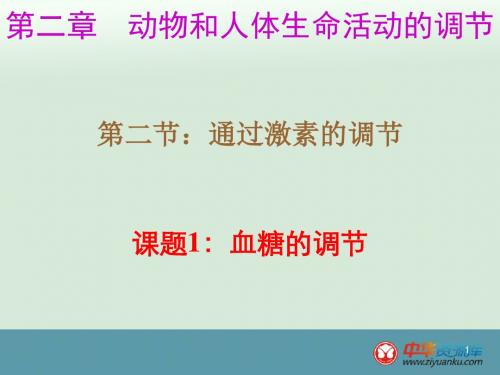 《血糖的调节》课件