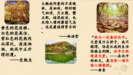 《故都的秋》ppt课件41张