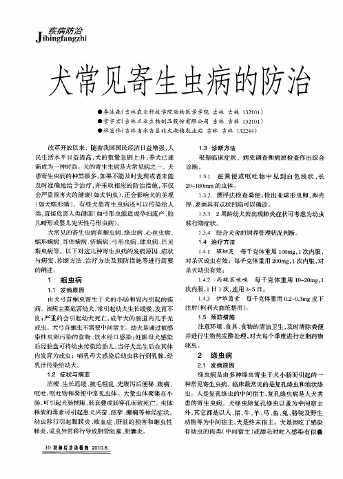 犬常见寄生虫病的防治