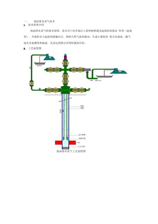 泡沫排水采气工艺技术