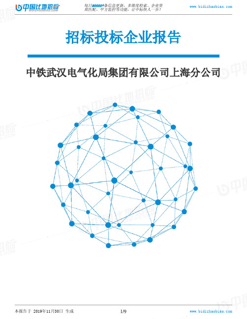 中铁武汉电气化局集团有限公司上海分公司-招投标数据分析报告