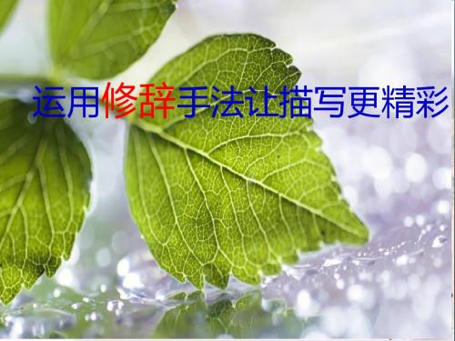 初中作文 运用修辞手法让描写更精彩PPT优秀课件(22张)
